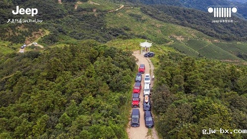 1597033274879011305.jpg 图片10.jpg