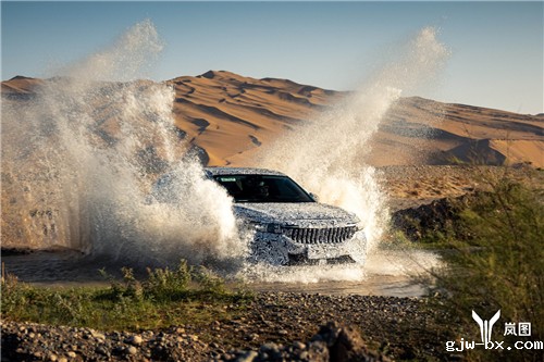 1604628006824080236.jpg 图片1.jpg